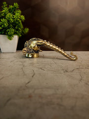 Premium Brass Fine Art Elephant Face Wall Mount | Majestic Vastu Animal Wall Decor for Entryway