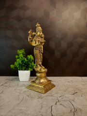 Premium Brass Goddess Vishnu Mayaa Idol | Divine Mahamaya Statue for Vastu Protection & Cosmic Power