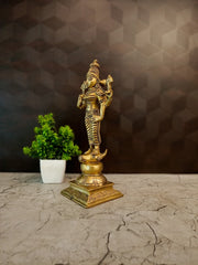 Premium Brass Goddess Vishnu Mayaa Idol | Divine Mahamaya Statue for Vastu Protection & Cosmic Power