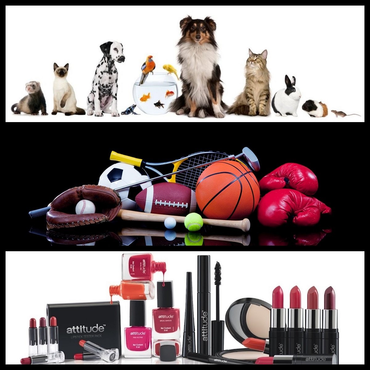 gift ideas pets sports items cosmetics makeup selfgrooming 1 1