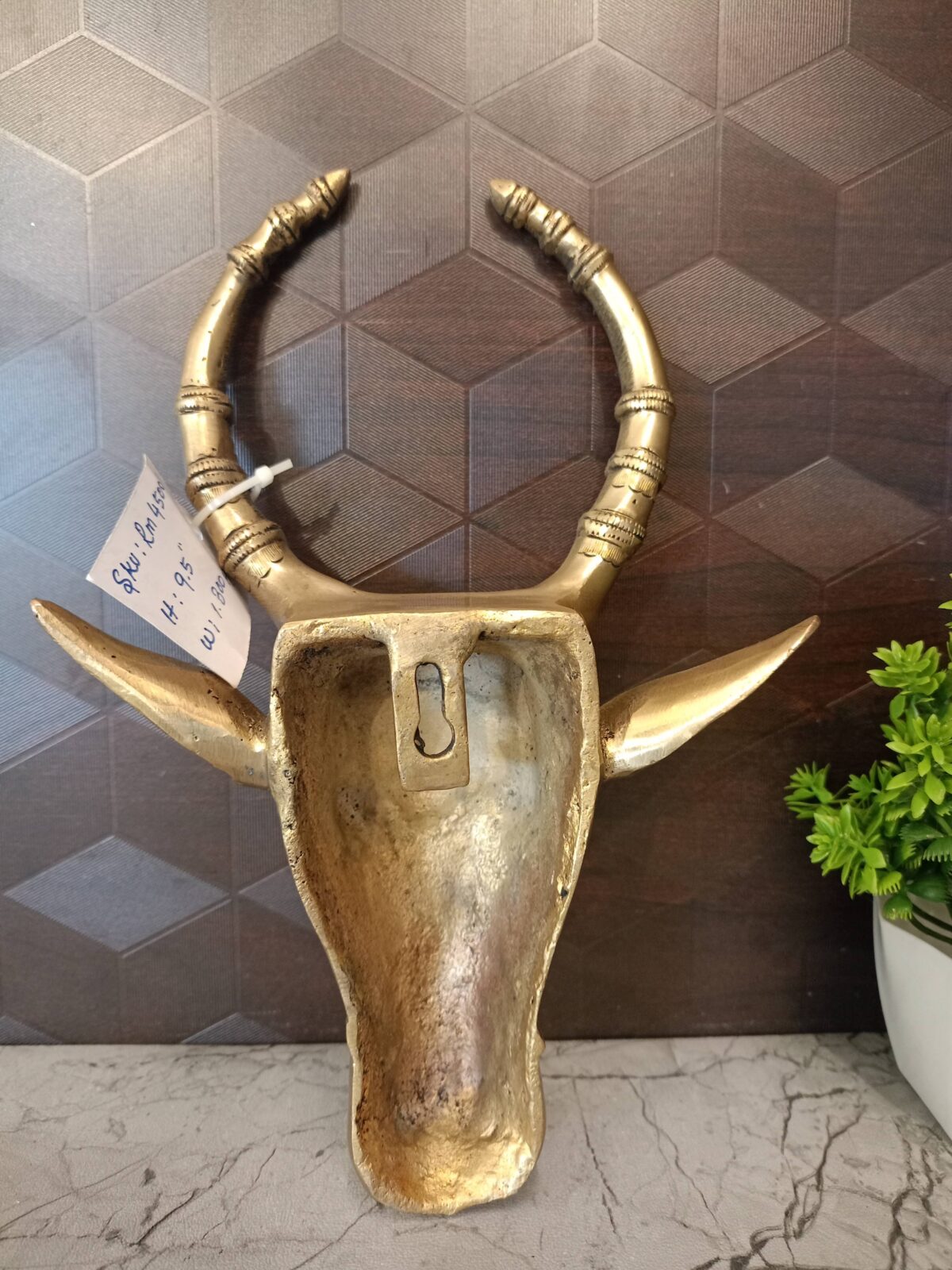 brass bull wall mount vgocart coimbatore india scaled