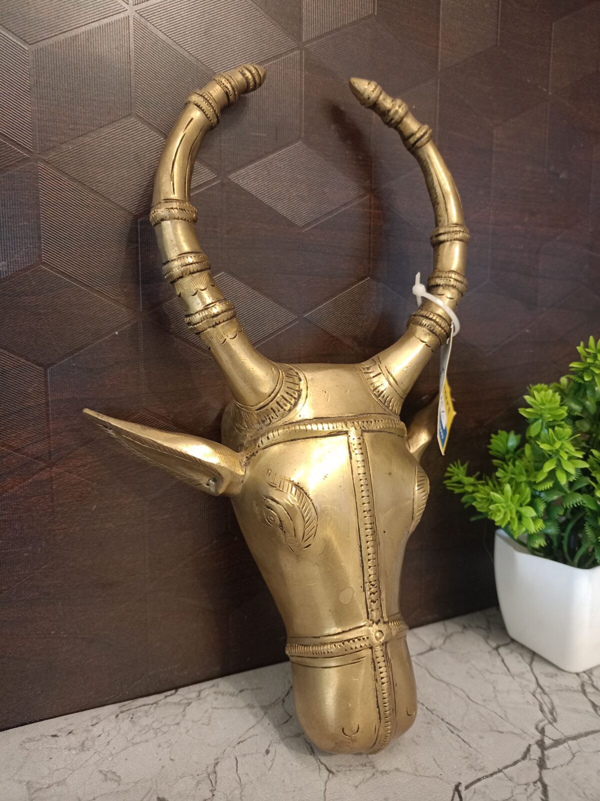 brass bull wall mount vgocart coimbatore india2 scaled